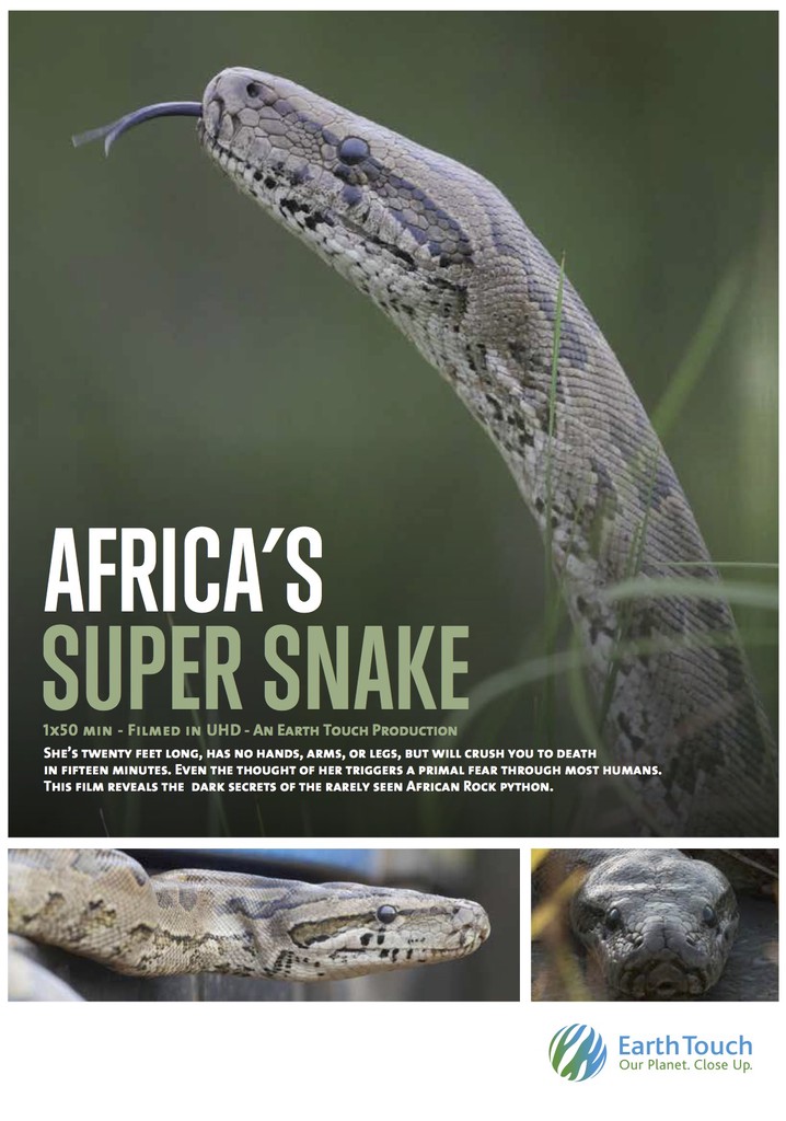 Africa's Super Snake