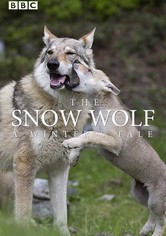 The Snow Wolf: A Winter's Tale