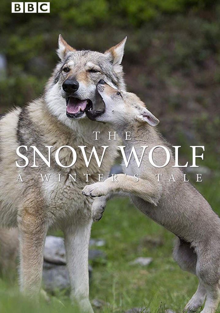 The Snow Wolf: A Winter's Tale