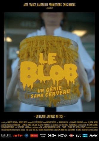 Le Blob, un génie sans cerveau