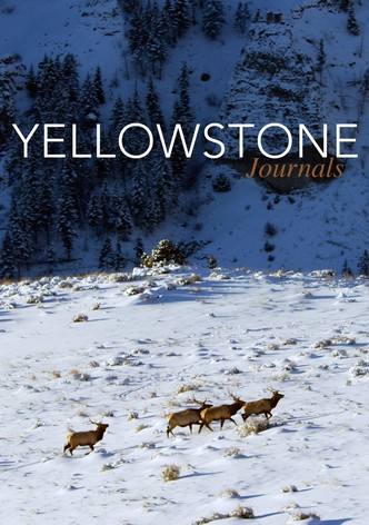 Yellowstone Journals