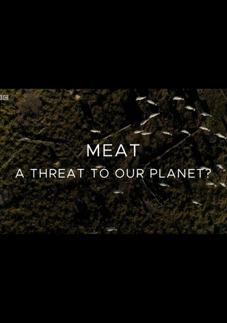Meat: A Threat to Our Planet