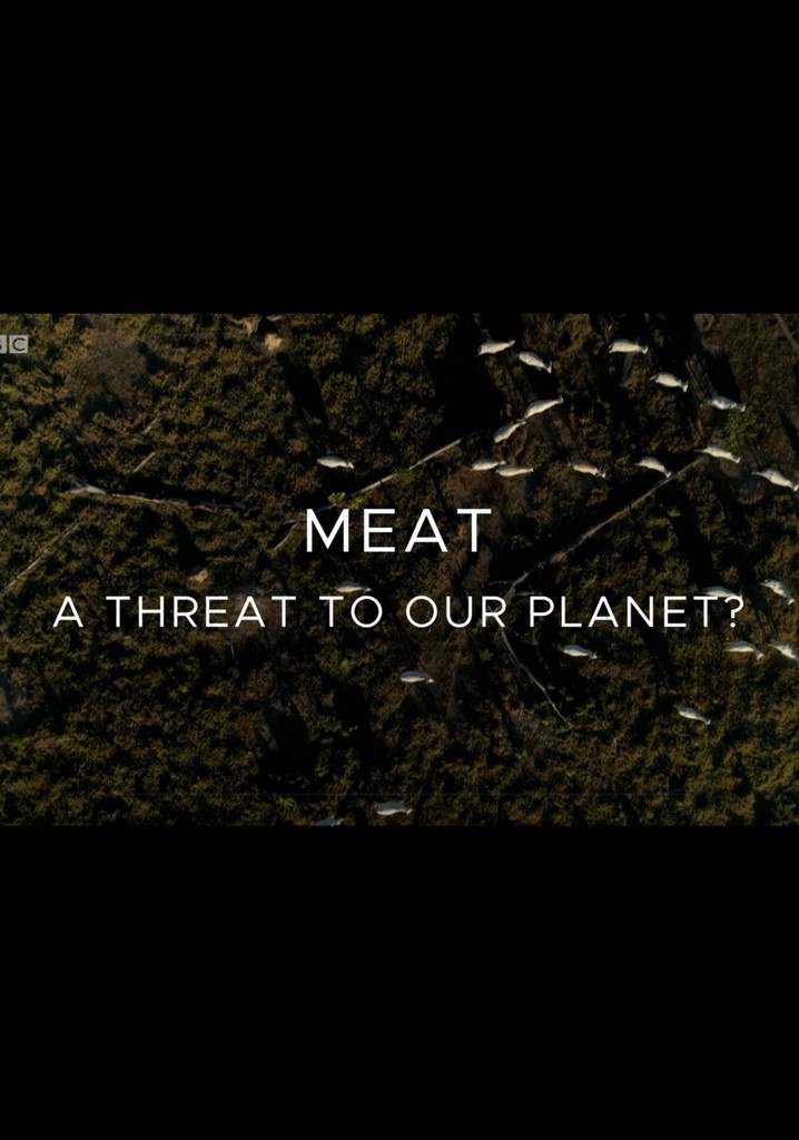 Meat: A Threat to Our Planet