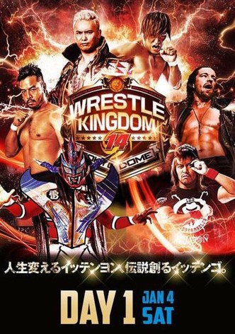 NJPW Wrestle Kingdom 14
