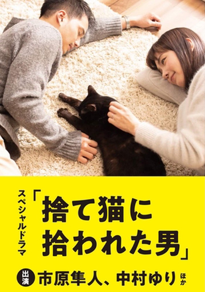 The Man Who Got Picked Up by a Stray Cat