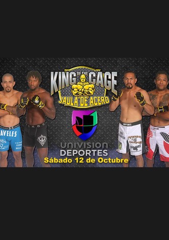 Iron Cage