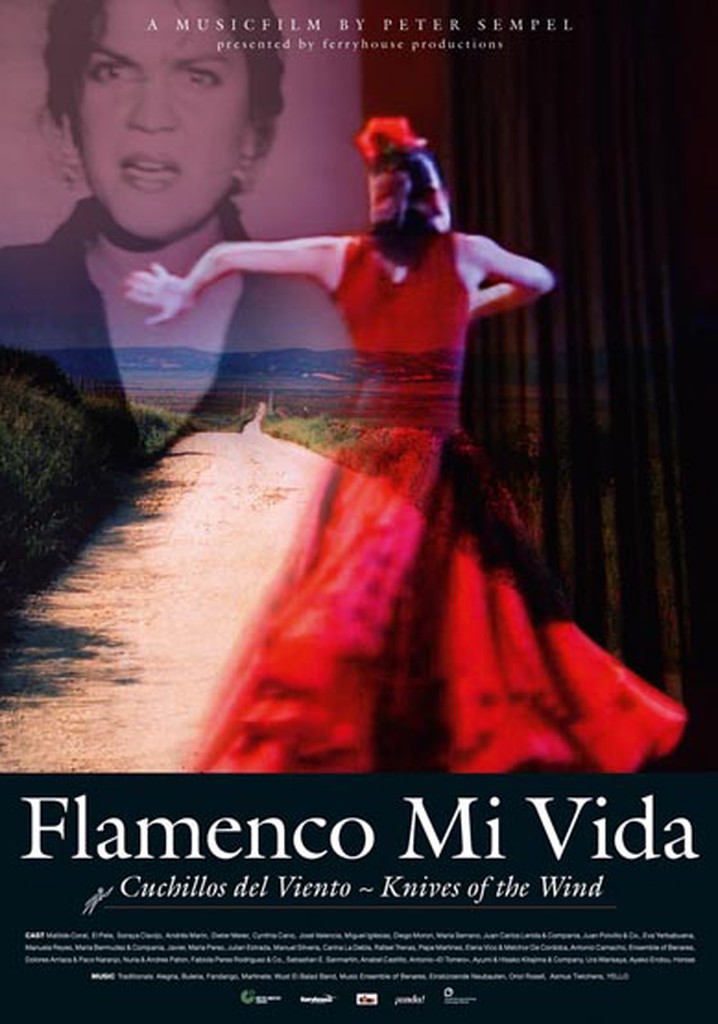 Flamenco mi vida - Knives of the wind
