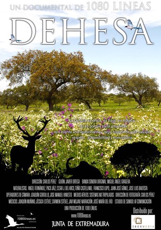 Dehesa - L'harmonie ibérique