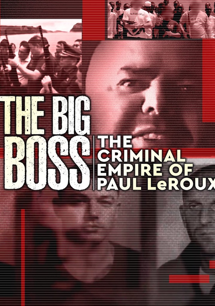 The Big Boss A 21st Century Criminal streaming