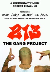213 The Gang Project