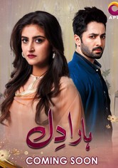 Haara Dil