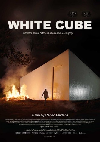 The White Cube