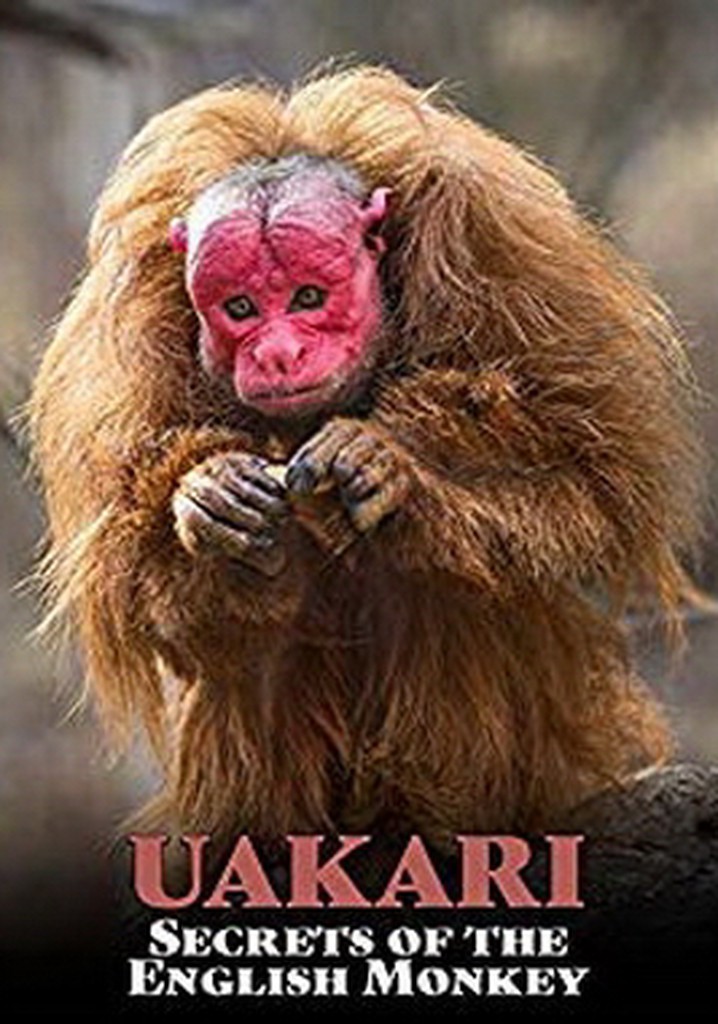 Uakari: Secrets of the English Monkey