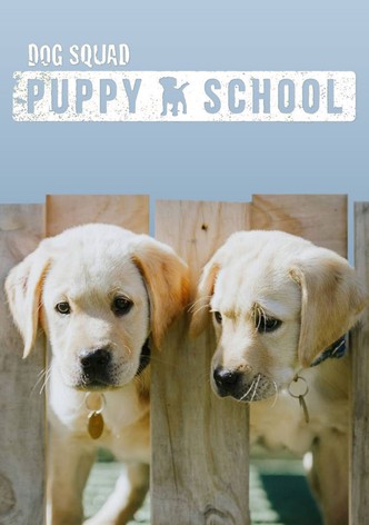 Puppy School