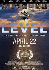 Level