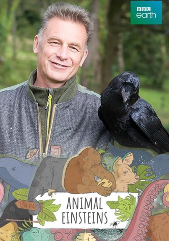 Chris Packham's Animal Einsteins
