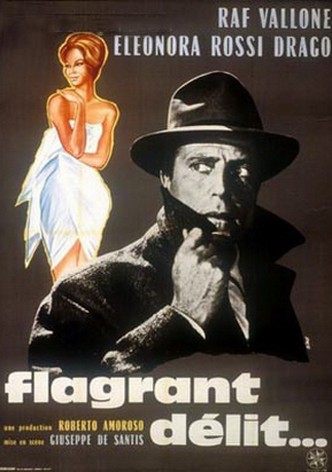 The Apartment
