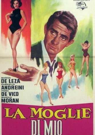 La moglie di mio marito