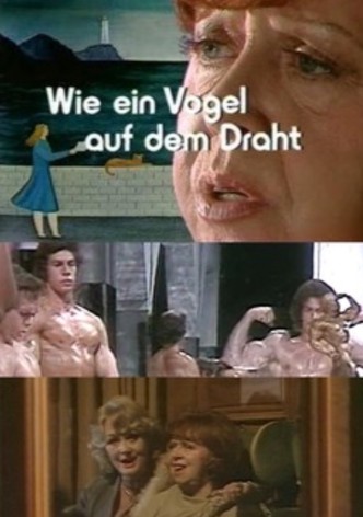 Like a Bird on a Wire