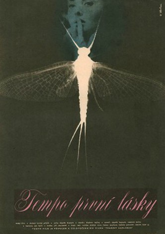 Rhythm of First Love