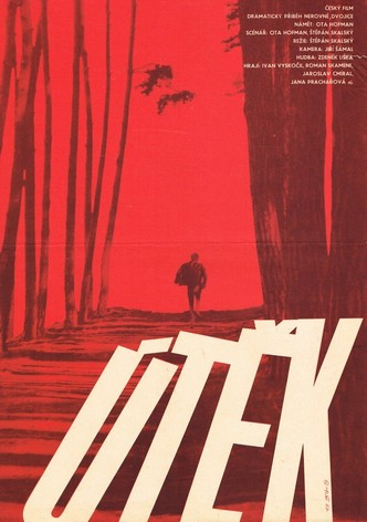 The Flight