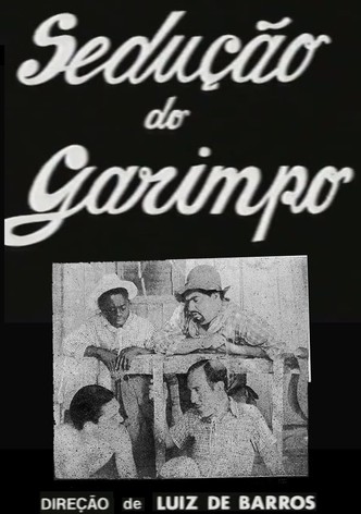 A Sedução do Garimpo