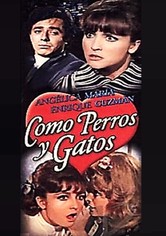 Como perros y gatos