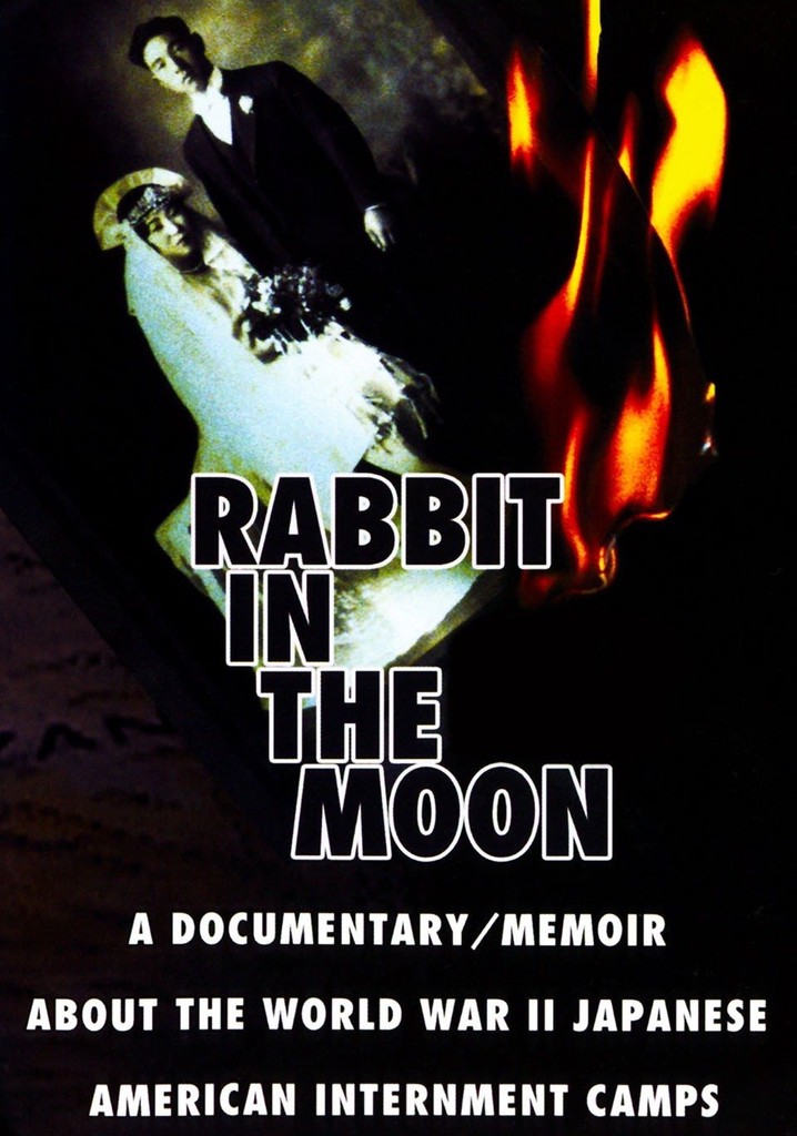 Rabbit in the Moon