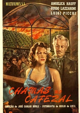 Flames in the coffee plantation