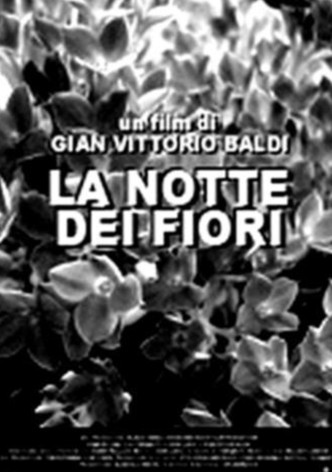 La notte dei fiori