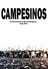 Campesinos