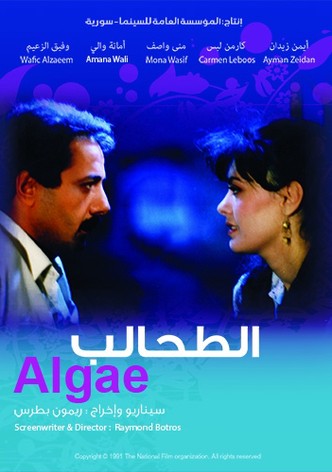 Algae