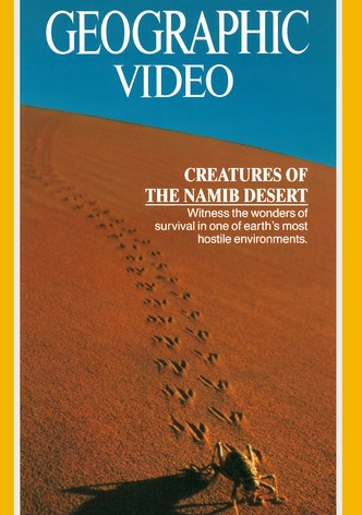 The Living Sands of Namib
