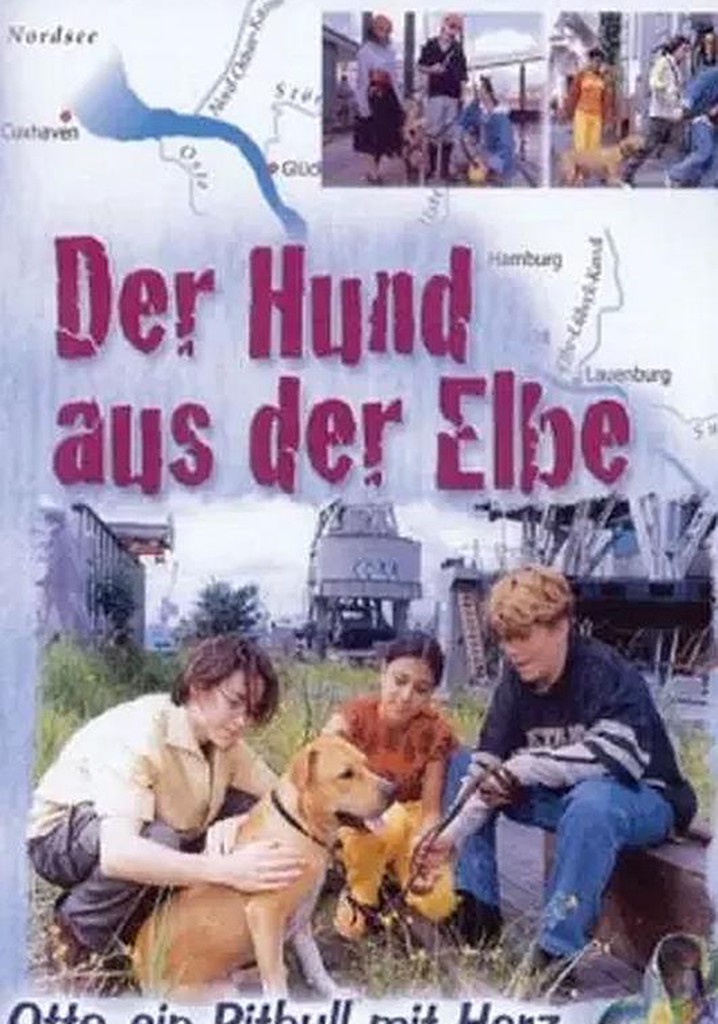 Der Hund aus der Elbe