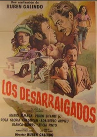 Los desarraigados