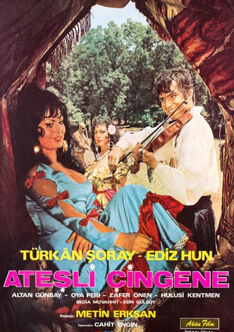Hot Gypsy
