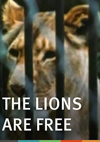 The Lions Are Free