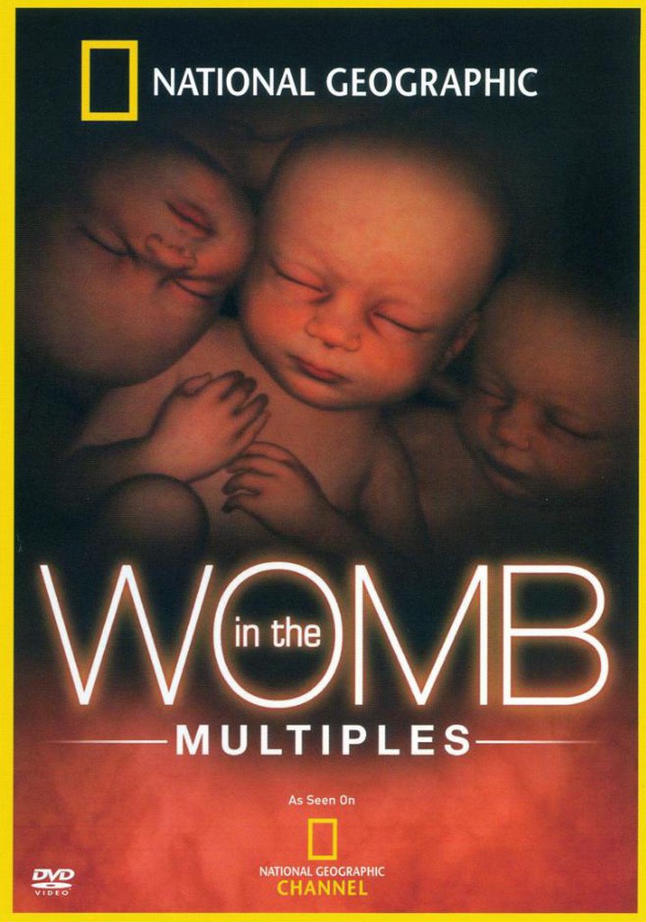 In the Womb: Multiples