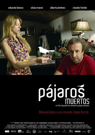 Pájaros muertos