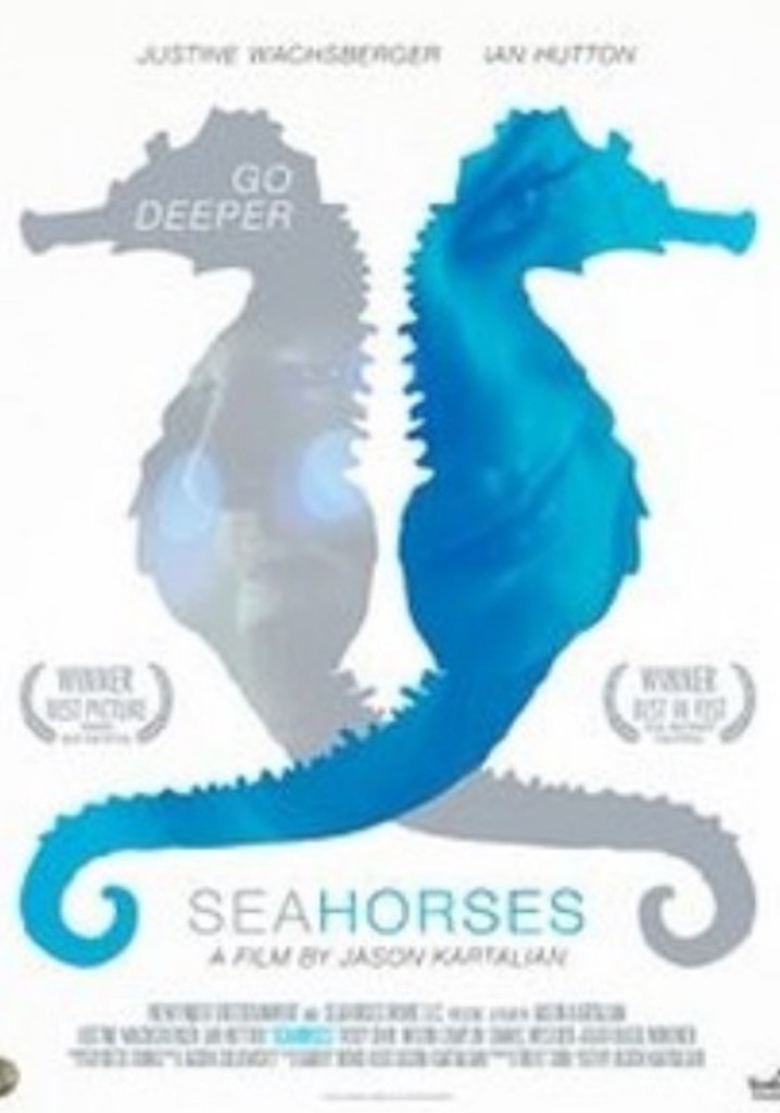 Seahorses