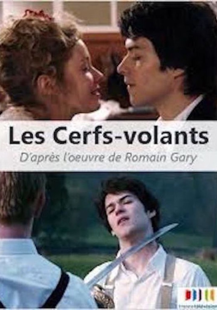 Les cerfs-volants