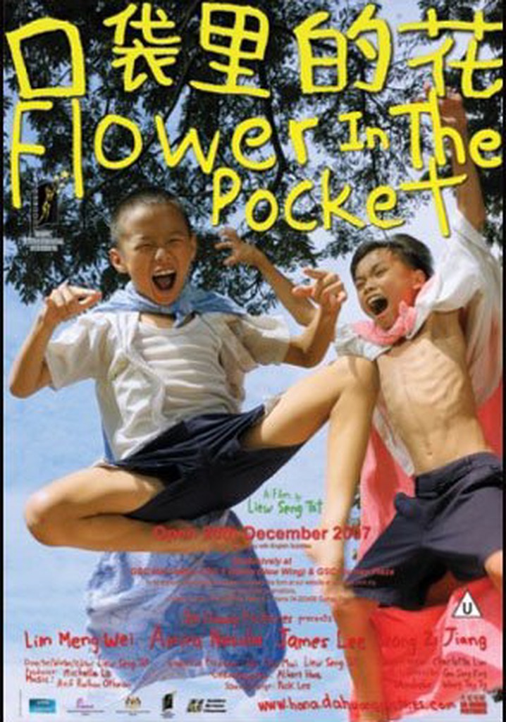 Flower in the Pocket