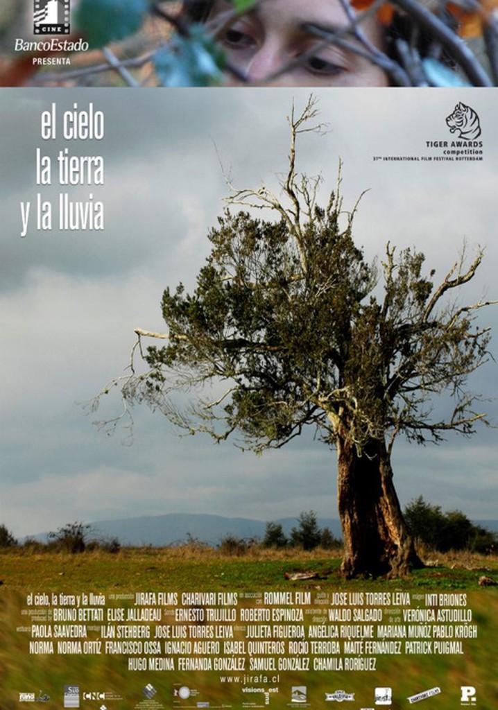 The Sky, the Earth and the Rain