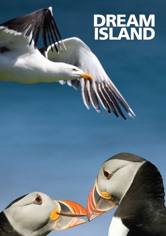 Dream Island