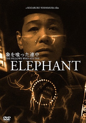 The Fellows Who Ate the Elephant