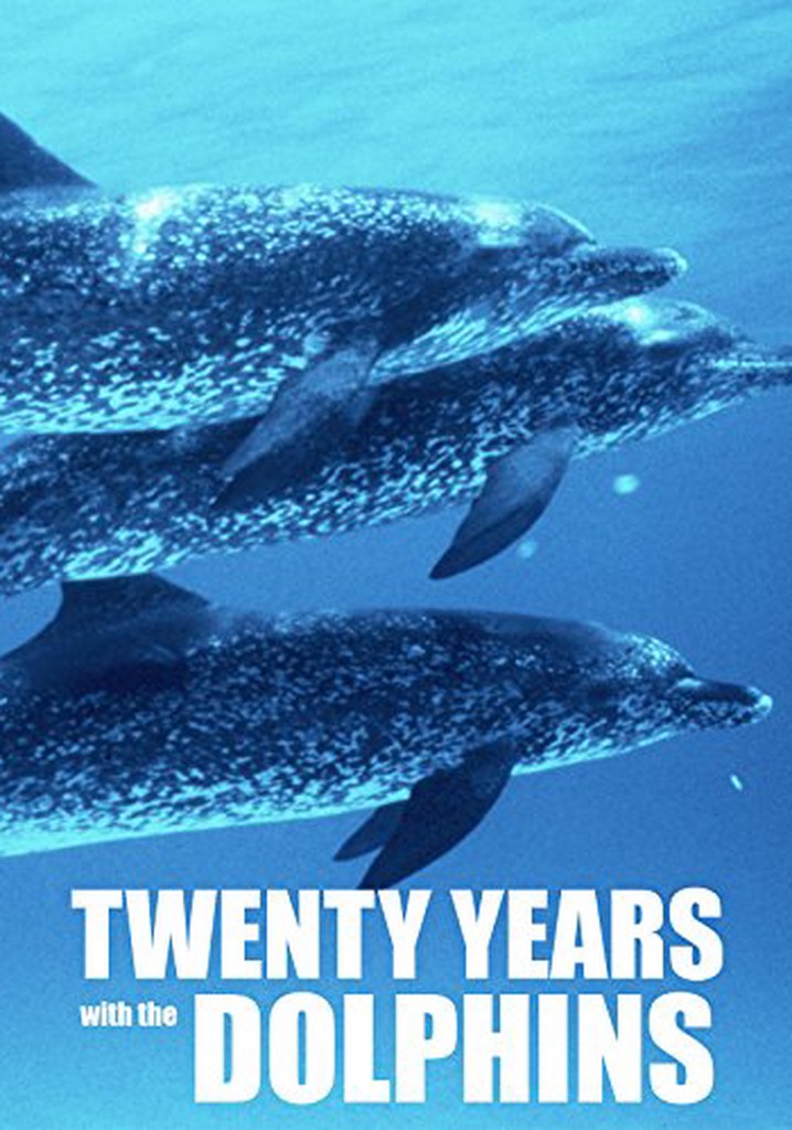 20 Years with the Dolphins