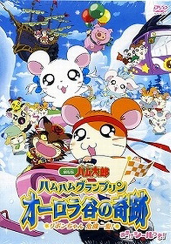Hamtaro: Miracle in Aurora Valley