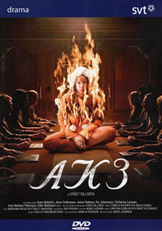 AK3 - Dolda beslut