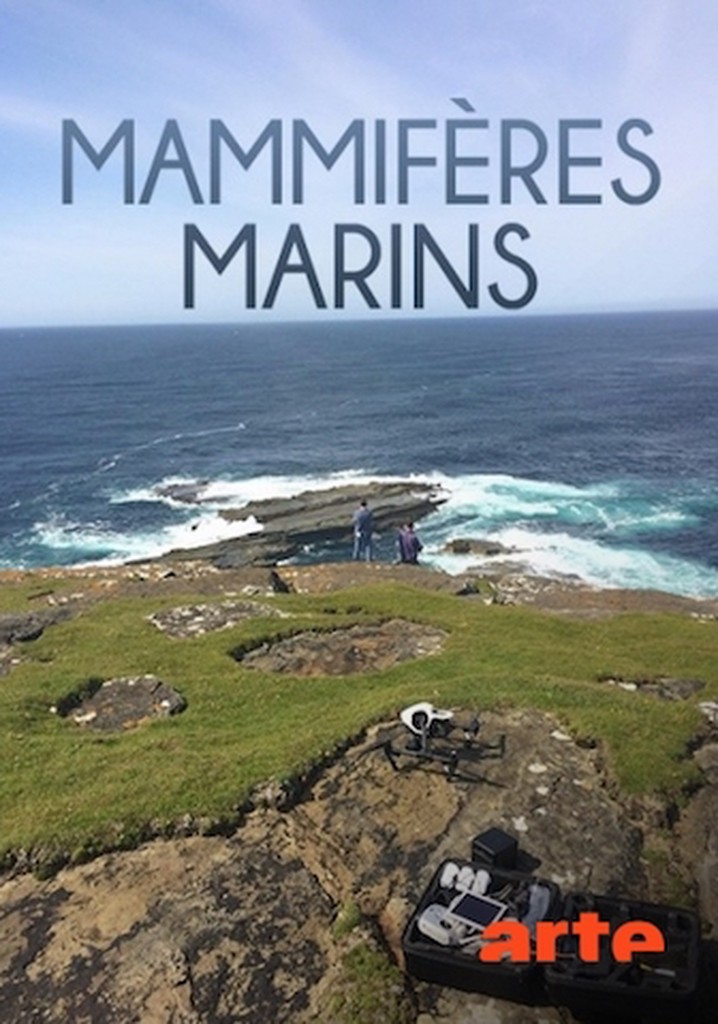 Mammifères marins: Les maîtres des abysses