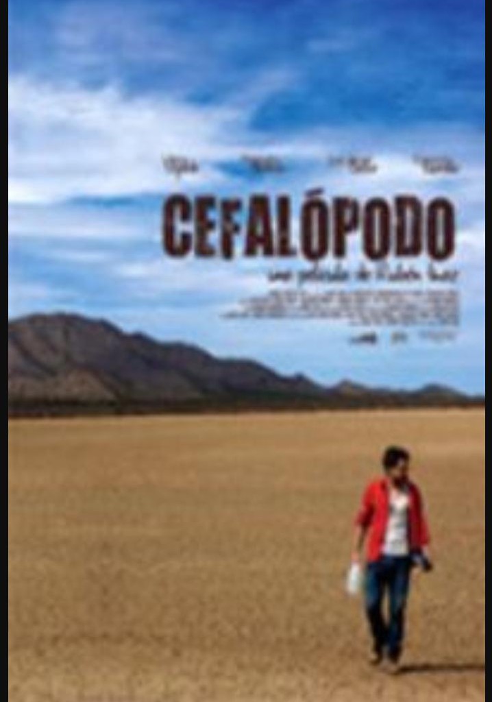 Cefalópodo